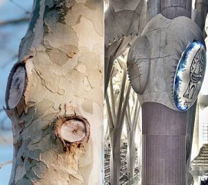 Detail stromovitého stĺpu a jeho originálna predloha.