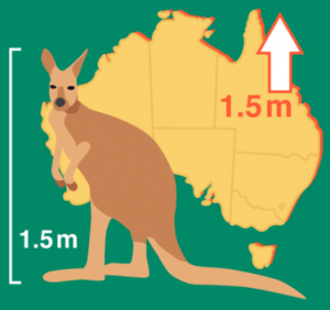 3-6 Australia grafika