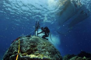 Zo vzoriek podmorských koralov vedci získali informácie o klimatických zmenách aj pred 500 rokmi.