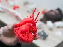 3D tlač vyrába orgány