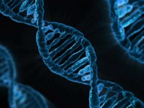 Čínski vedci sa pustili do génovej úpravy ľudí. V prvom kroku chcú pomôcť pacientom s rakovinou pľúc