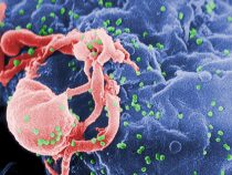 Nanočasticami proti HIV