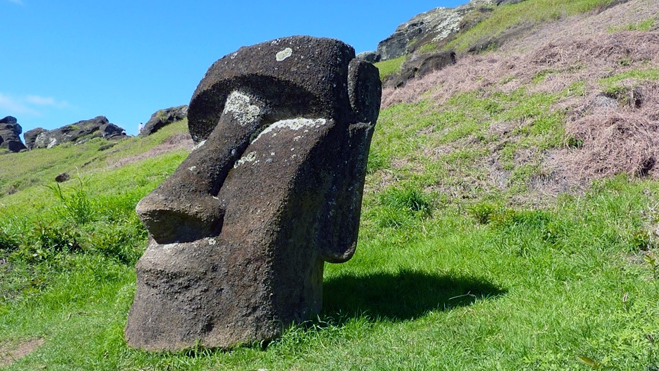Идол 7 букв. Каменные истуканы острова Пасхи. Идолы острова Пасхи. Статуи Моаи. Идол Моаи Стоун.