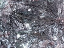 Medzinárodné stretnutie zberateľov minerálov a skamenelín