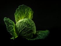 Blahodarná listová zelenina