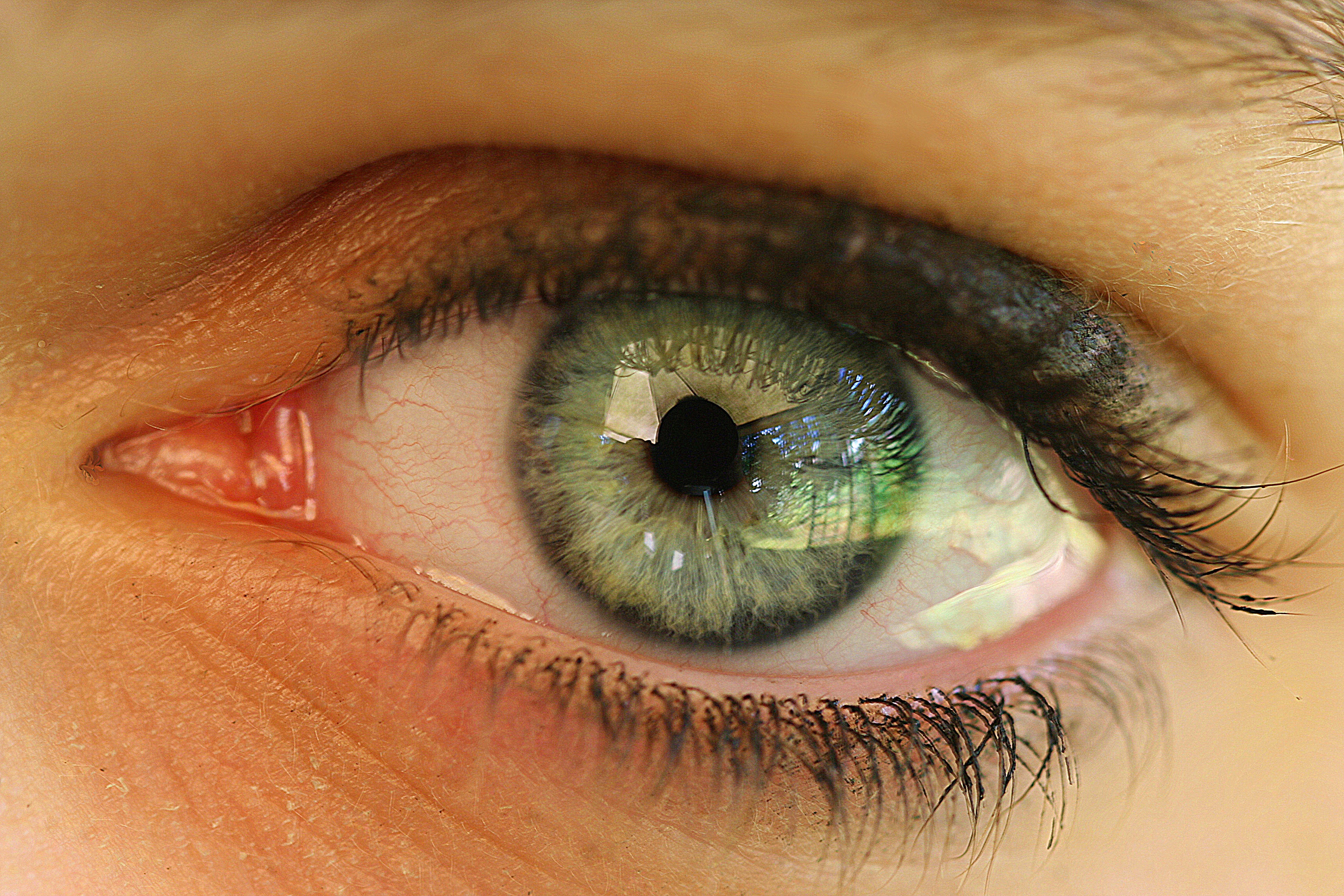 Вые глазах. Глаз человека. Здоровые глаза. Здоровый глаз человека. Обычные глаза.
