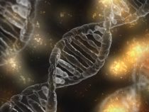 DNA Week o fascinujúcej molekule