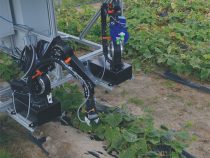 Roboty na zber uhoriek