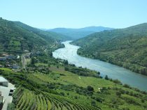 Skvost z údolia Douro