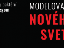 Čo nájdete v novembrovom Quarku