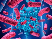 Regulácia mikrobioty