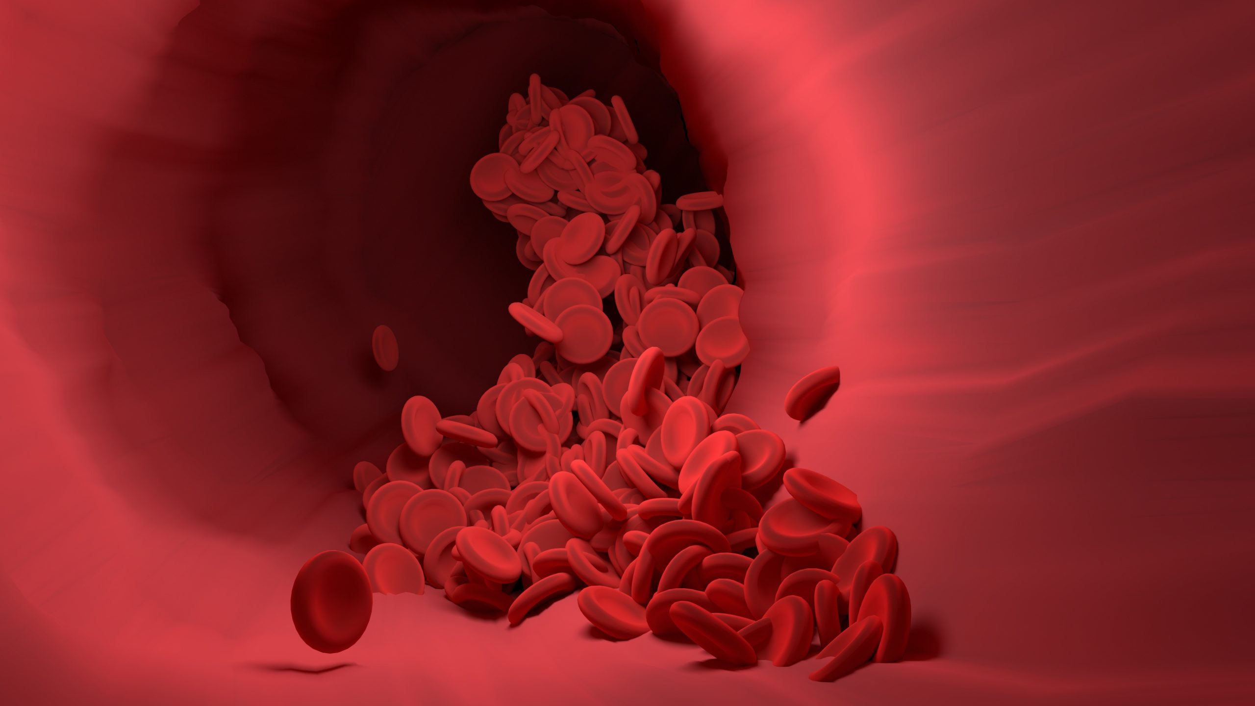 Тромбоз кровотечение. Плазма крови под микроскопом. Кровеносные клетки. Эритроциты в плазме крови.