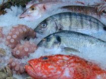 Zdravé mastné ryby