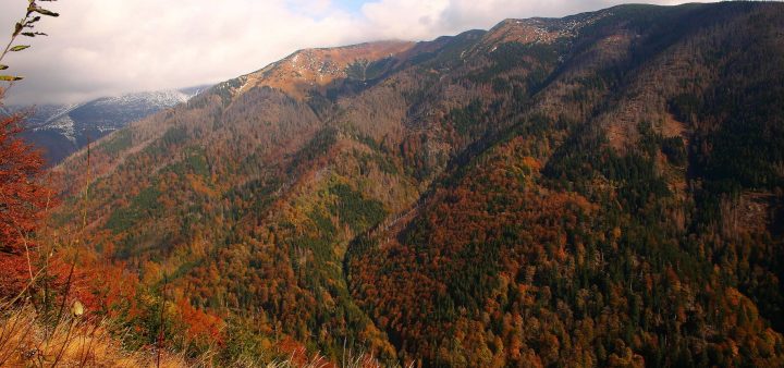 Najcennejšie lesy Slovenska