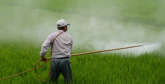 Pesticídy – ochrana či hrozba?
