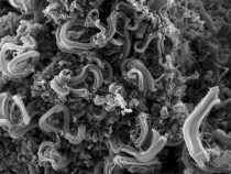 Krása uhlíkových nanorúrok