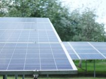 Zelená strecha a fotovoltické panely: Štýlové riešenie, ktoré šetrí peniaze aj planétu