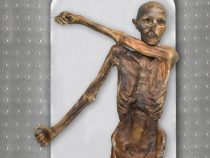 Naďalej záhadný Ötzi