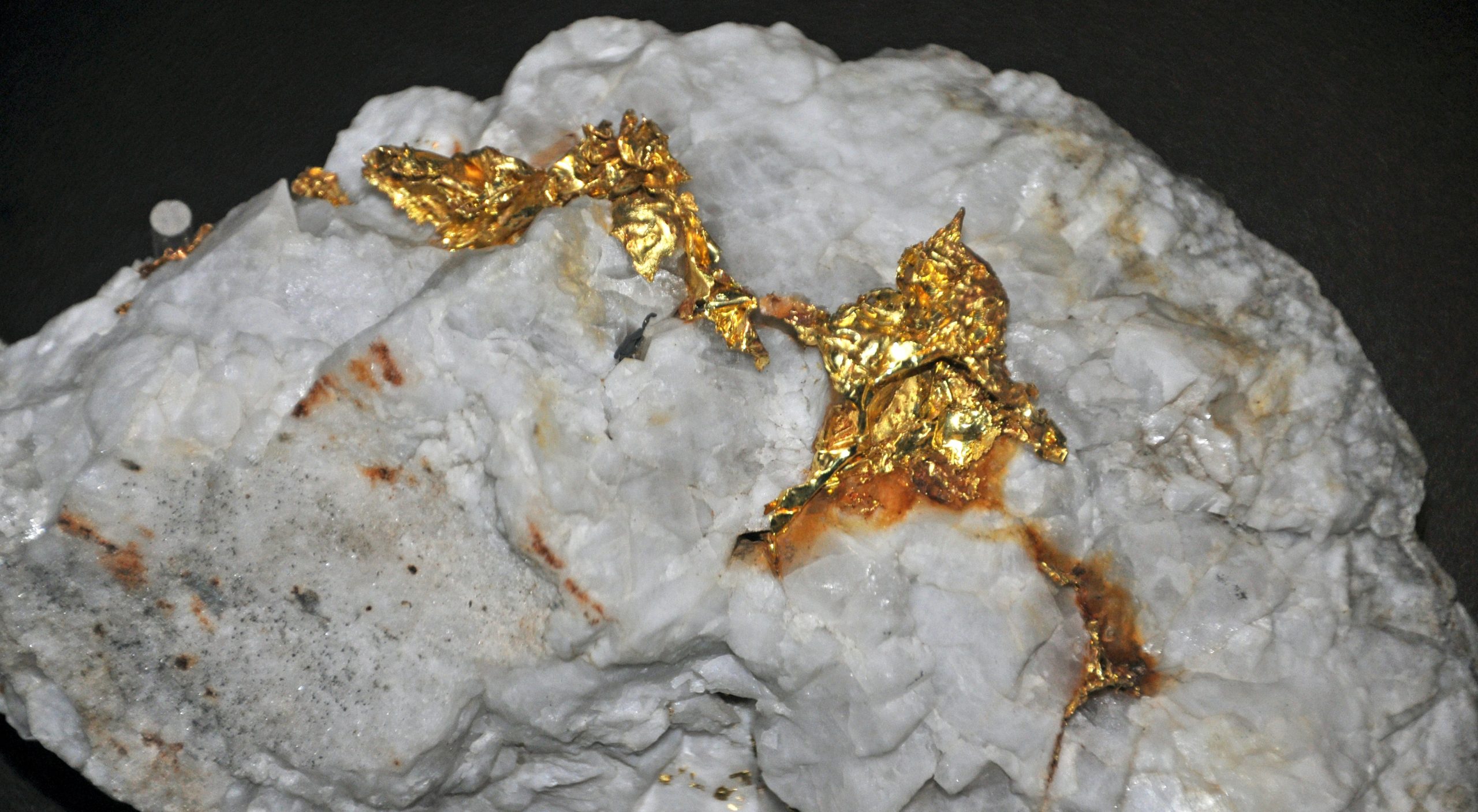 Золото в кварце. Камень в котором золото. Камень в котором золото. Камень в котором золото. Пирит самородок камень.