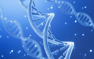 Ilustračné foto DNA