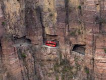 Zelený strom rizika