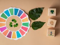 Cirkulárna ekonomika v stavebníctve: Ako pri rekonštrukcii bytu v Bratislave minimalizovať odpad a maximalizovať recykláciu