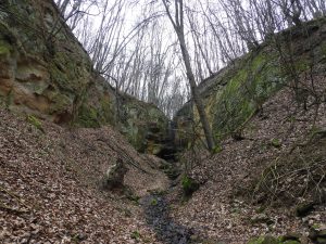 Roklina pokrytá vegetáciou