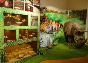 Exponáty múzea v Rimavskej Sobote