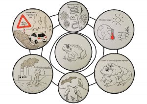 Žaba a všetky nástrahy, ktorým v prírode čelí