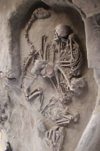 Ostatky po pohrebnom obrade ležiace v hrobe