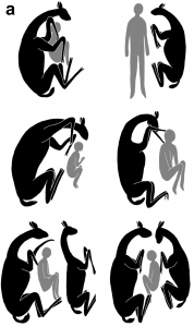 Ilustrácie uloženia zvierat a človeka v spoločnej hrobke