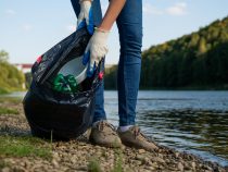 Vyčistiť a pochopiť