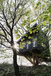 Doma na listnatom strome vo výške