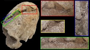 Koláž fotografií: Lebka a jej nálezisko