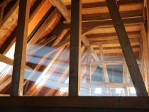 Ako vznikli priezviská niektorých známych politikov