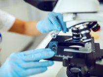 Veda ako detektívka