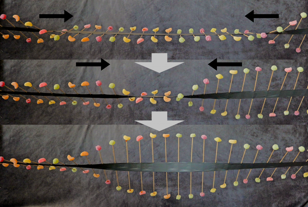 Fungovanie vlnostroja