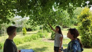 Žiaci pozorujú strom a jeho listy na školskom dvore