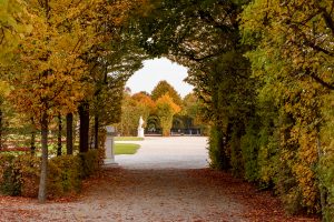 Tunel pod stromami v parku počas jesene