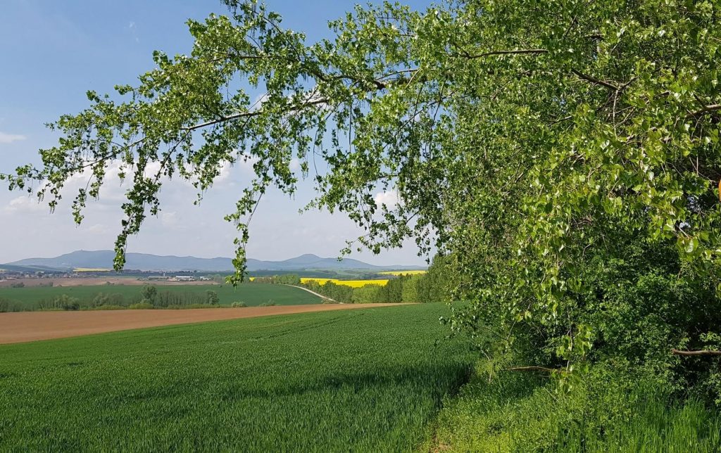 Pohľad trávnatú krajinu. V pozadí polia a vrchy.