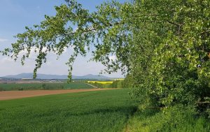 Pohľad trávnatú krajinu. V pozadí polia a vrchy.