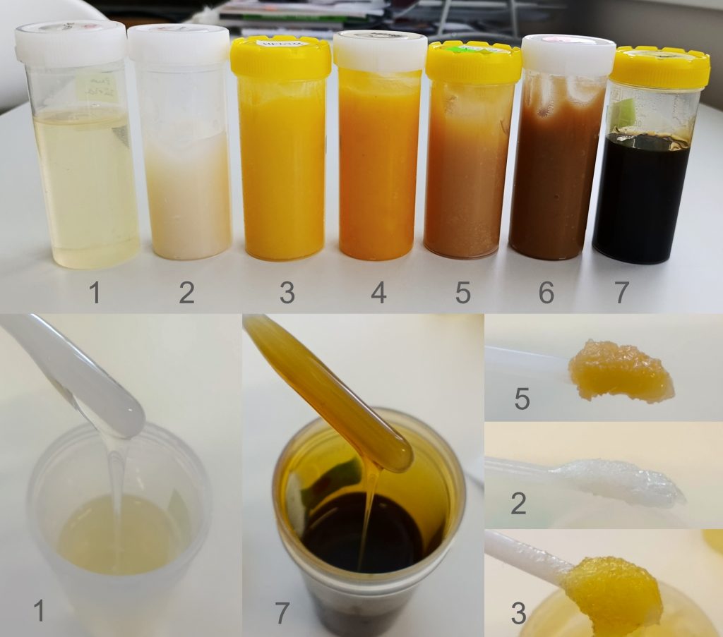 Vzorka rôznych medov znázorňuje ich vizuálne rozdiely