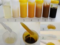 Jedlý portrét prírody