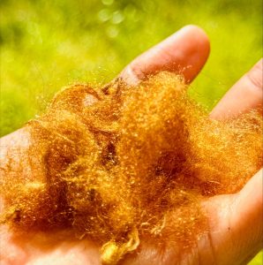 Zlaté vlákna položené na dlani