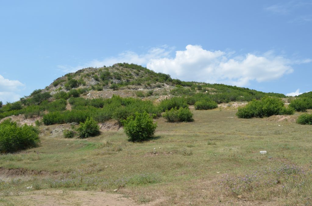 Kopec pokrytý kríkmi a trávou