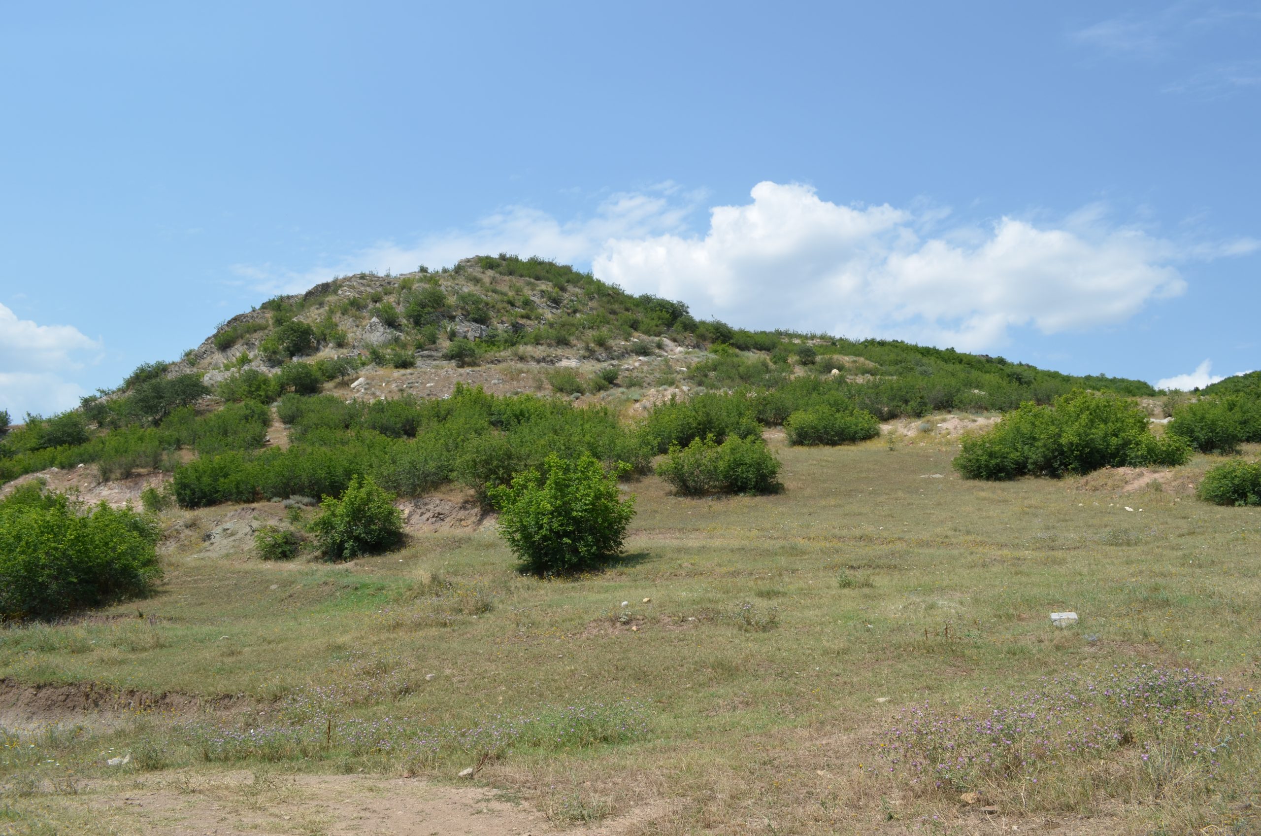 Kopec pokrytý kríkmi a trávou