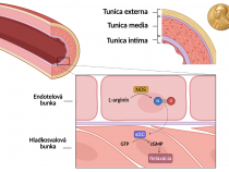 Od dynamitu k lieku na srdce