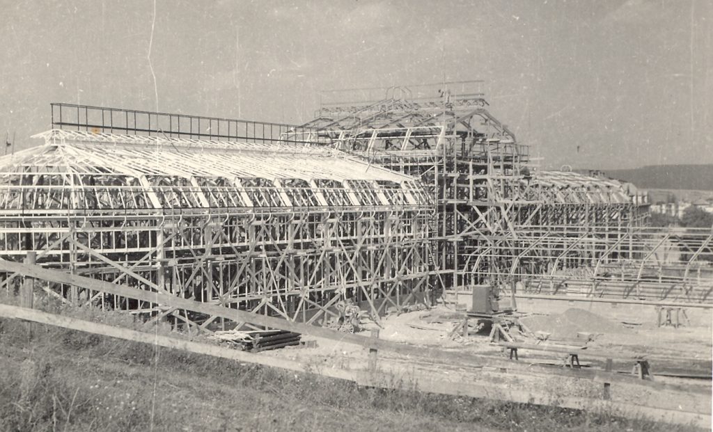 Historická fotografia skleníkov v botanickej záhrade