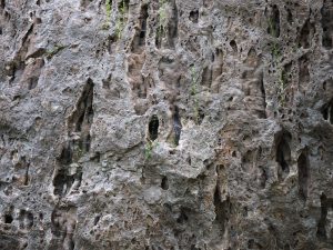 Rozpukaná kamenná stena