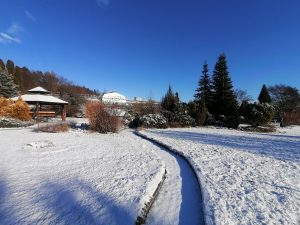 Cestička zasneženou krajinou